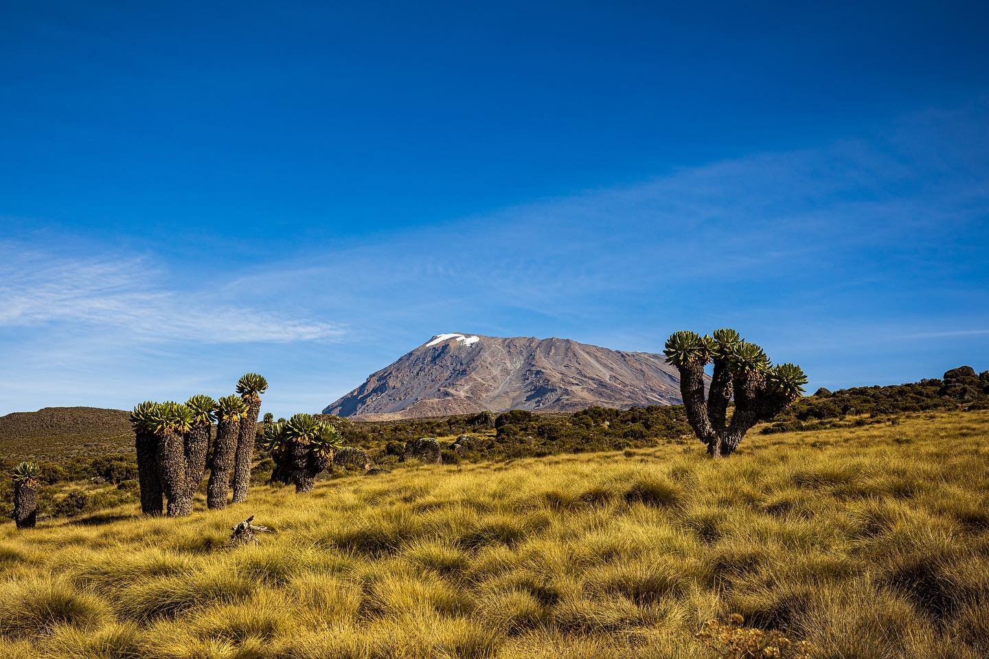 Horombo huts – Kilimanjaro National Park safari lodge interior