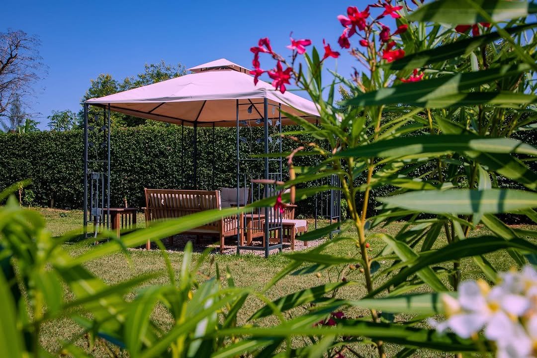 Kilimanjaro mountain camp (tented) – lodge accommodation in Kilimanjaro National Park, Tanzania