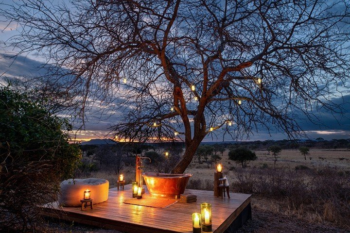 Oliver's Camp Tarangire - Gallery Image 2