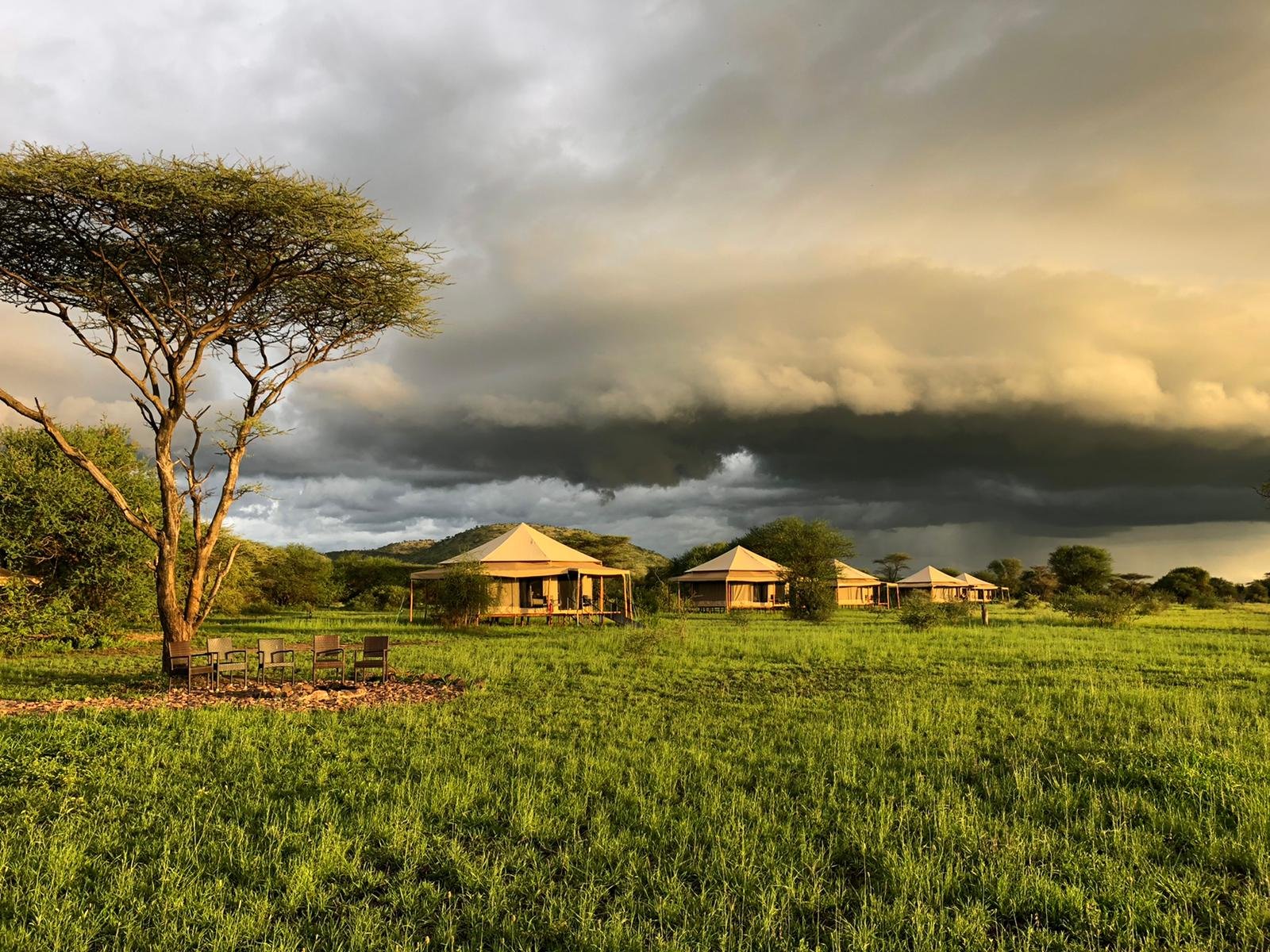 Sound of Silence — Lake Manyara – Serengeti National Park safari lodge interior