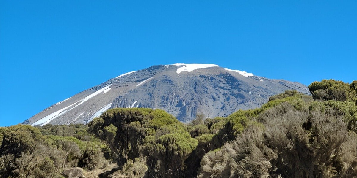 Millenium Camp – lodge accommodation in Kilimanjaro National Park, Tanzania