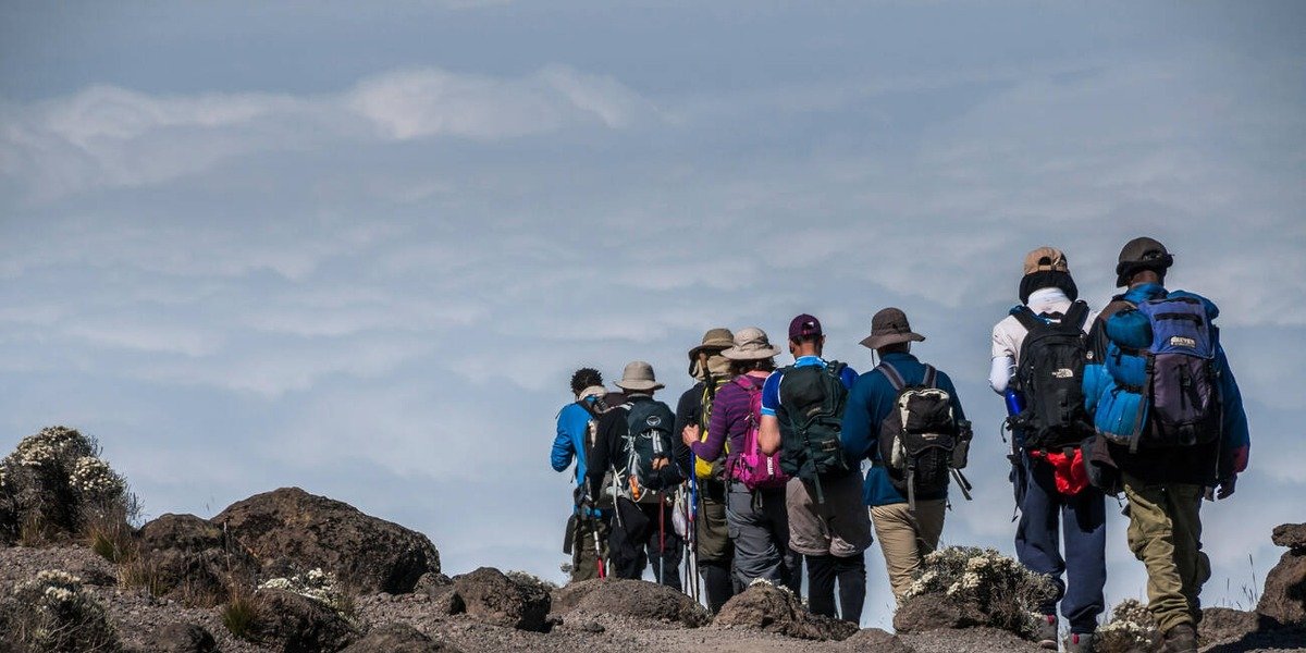 Moir Huts – lodge accommodation in Kilimanjaro National Park, Tanzania
