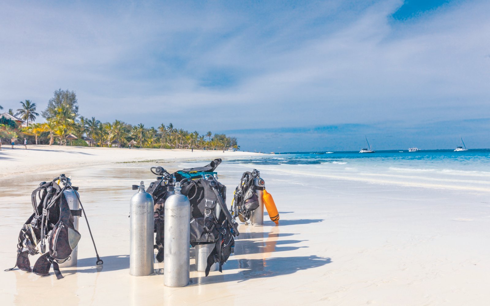 Best Diving Sites in Tanzania 2026 | Zanzibar & Mafia Guide – Tanzania Safari Blog