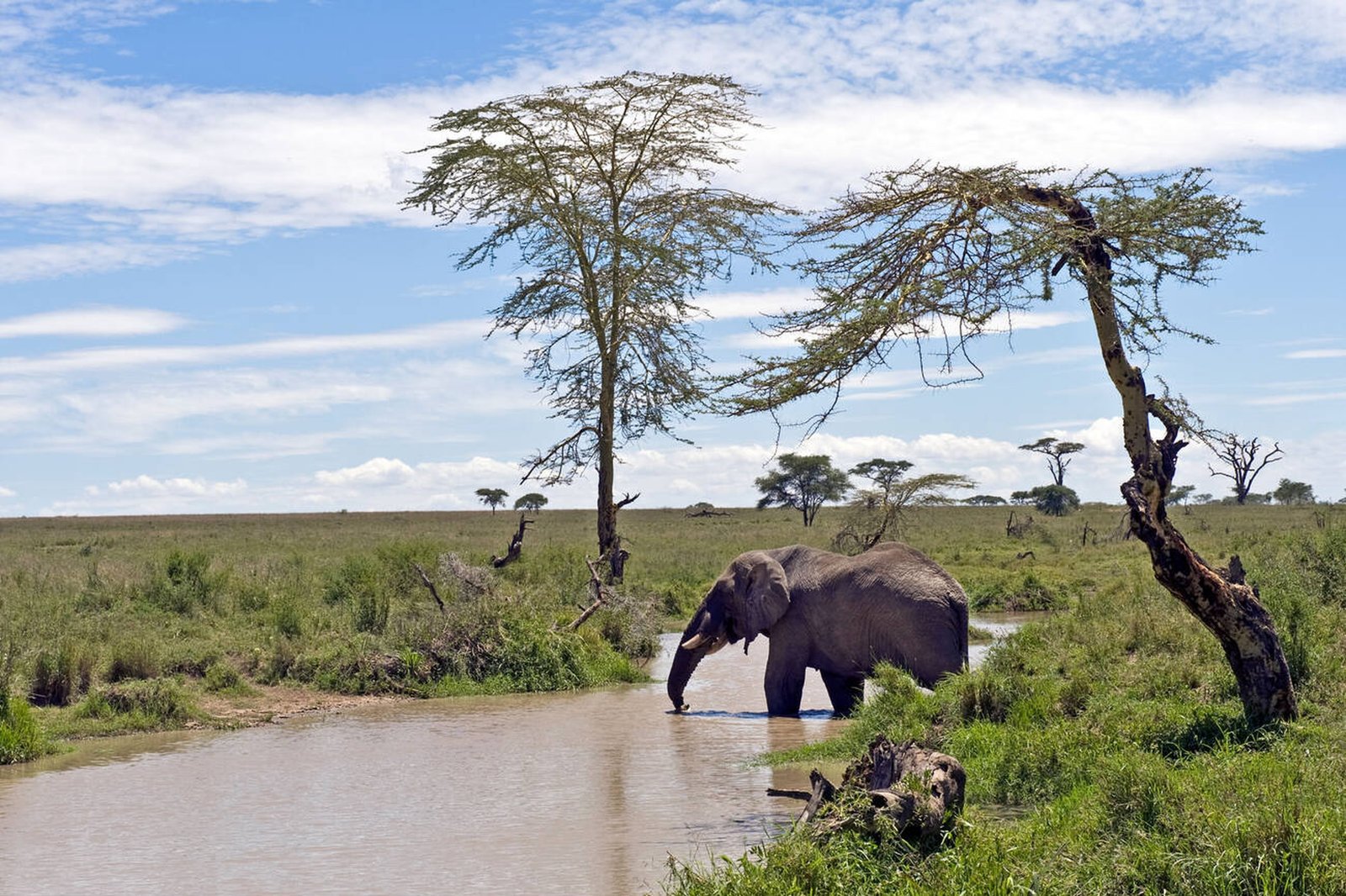 Serengeti Geology: Ancient Landscape of the Great Migration – Tanzania Safari Blog