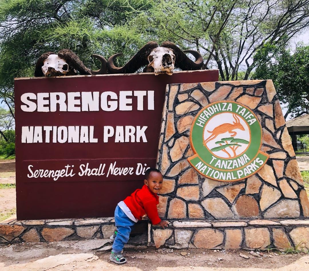 Best Time to Visit Serengeti 2026: Month-by-Month Guide – Tanzania Safari Blog