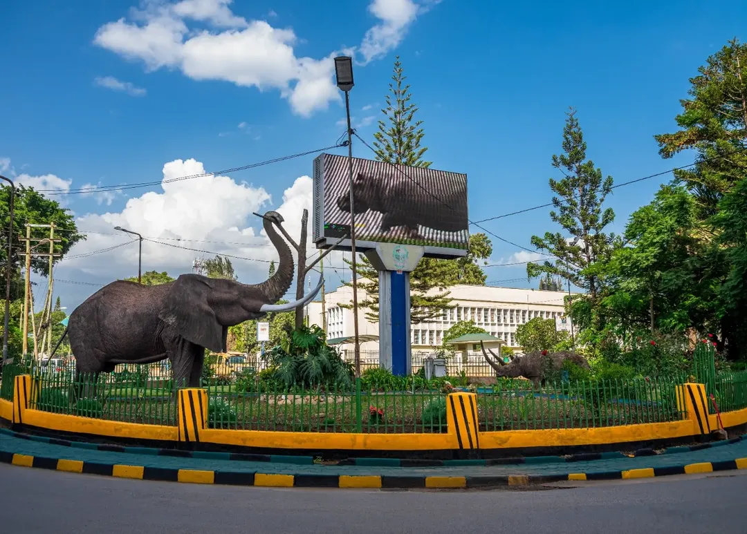 Arusha Town national park wildlife – Lemosho Route itinerary stop