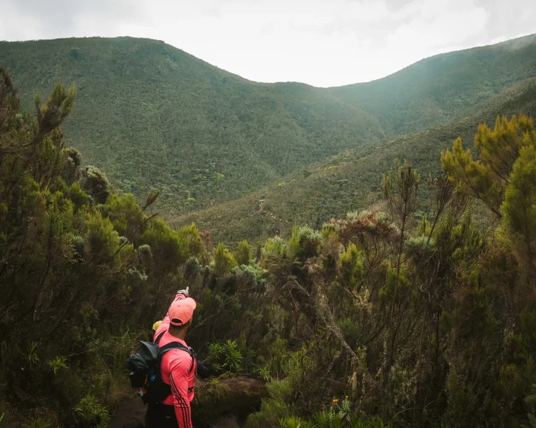 Kilimanjaro National Park national park wildlife – Lemosho Route itinerary stop