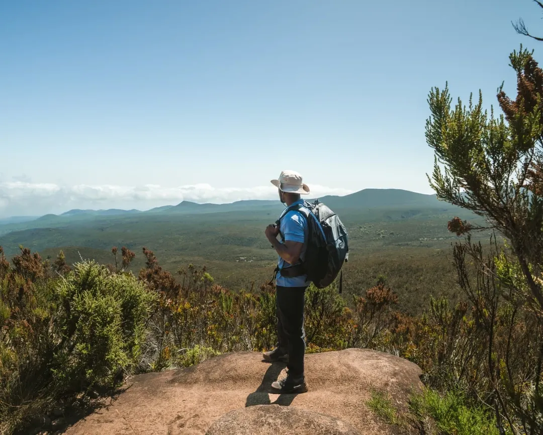 Kilimanjaro National Park national park wildlife – Lemosho Route itinerary stop