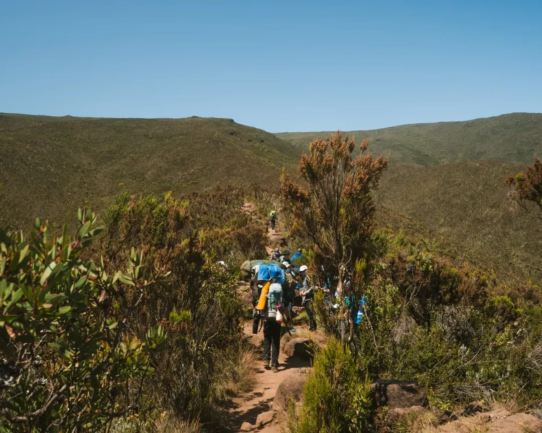 Kilimanjaro National Park national park wildlife – Northern Circuit itinerary stop