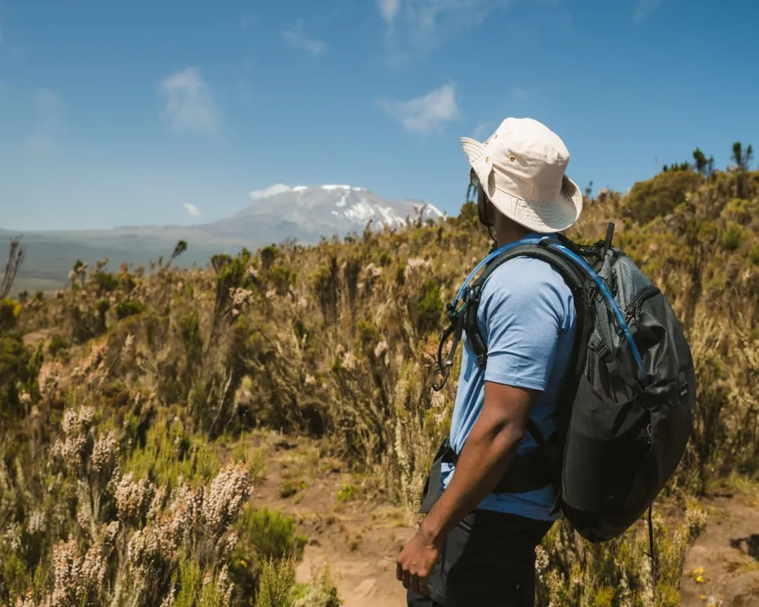 Kilimanjaro National Park national park wildlife – Northern Circuit itinerary stop