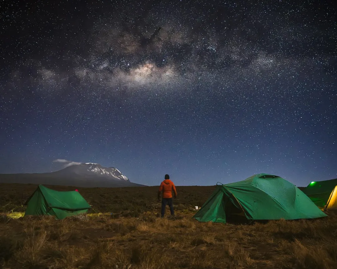 Kilimanjaro National Park national park wildlife – Northern Circuit + Crater Camping itinerary stop