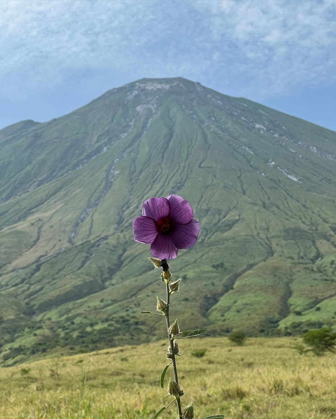 Ol Doinyo Lengai national park wildlife – Ol Doinyo Lengai itinerary stop