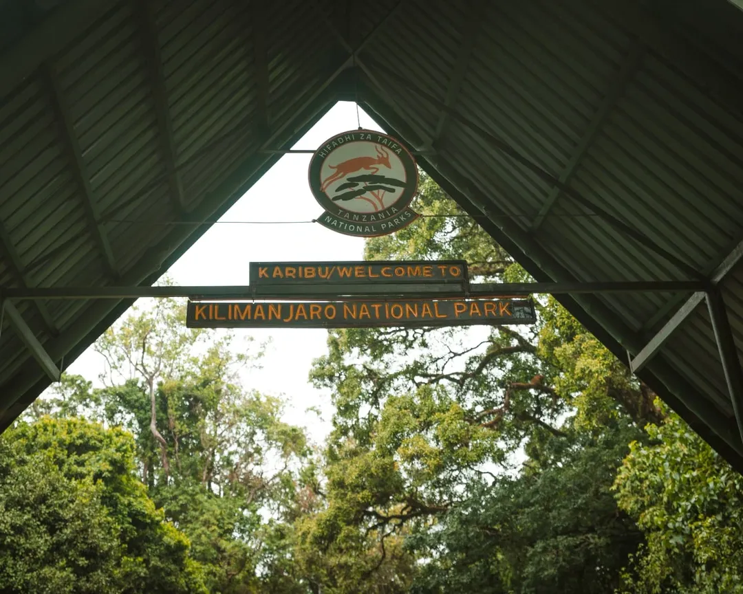 Kilimanjaro National Park national park wildlife – Lemosho Route itinerary stop