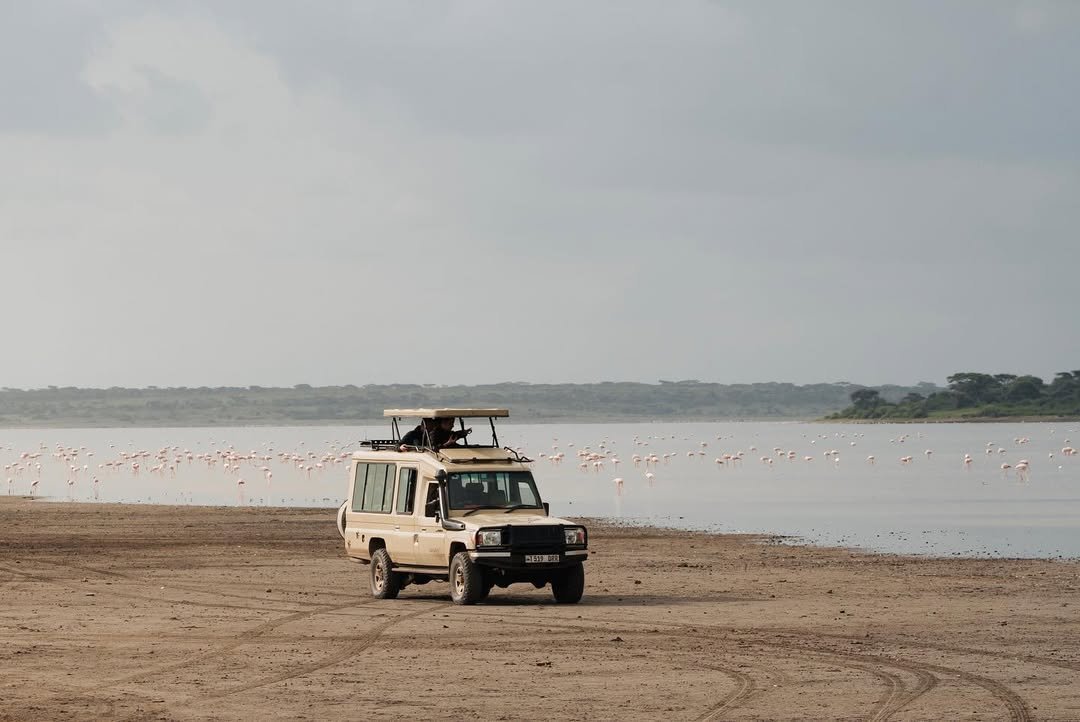 Ndutu & Southern Serengeti national park wildlife – Migration & Calving Safari: Tarangire, Ngorongoro, Ndutu & Southern Serengeti itinerary stop