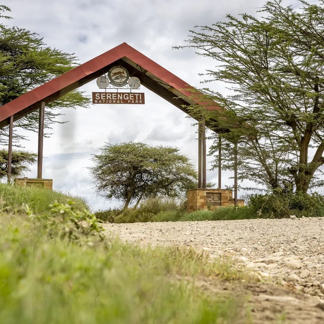 Serengeti National Park national park wildlife – Luxury Honeymoon Escape: Arusha National Park, Ngorongoro Crater & Serengeti - Romantic Bonus Inside! itinerary stop