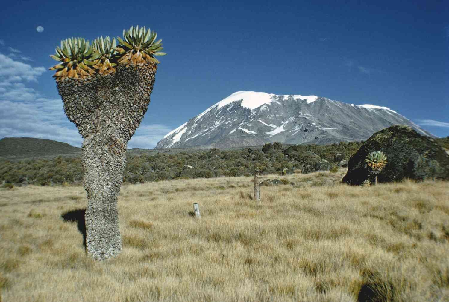 Kilimanjaro Routes