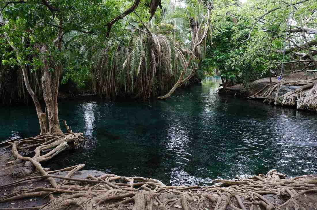 Excursions in Moshi