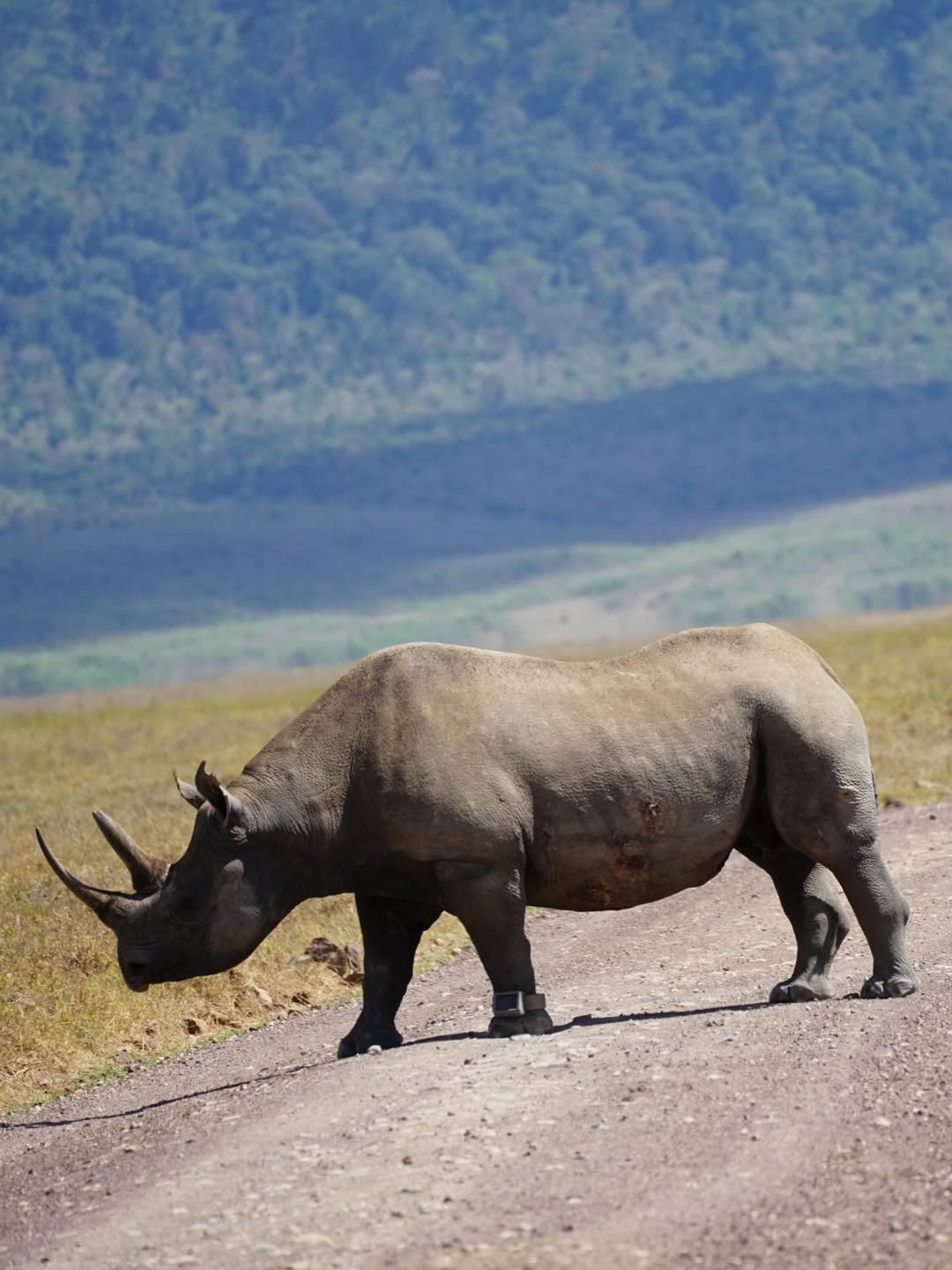 Budget-Friendly Tour in Tarangire, Ngorongoro & Serengeti — photo 3