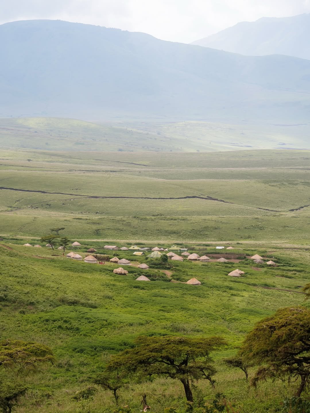 Budget-Friendly Tour in Tarangire, Ngorongoro & Serengeti — photo 4