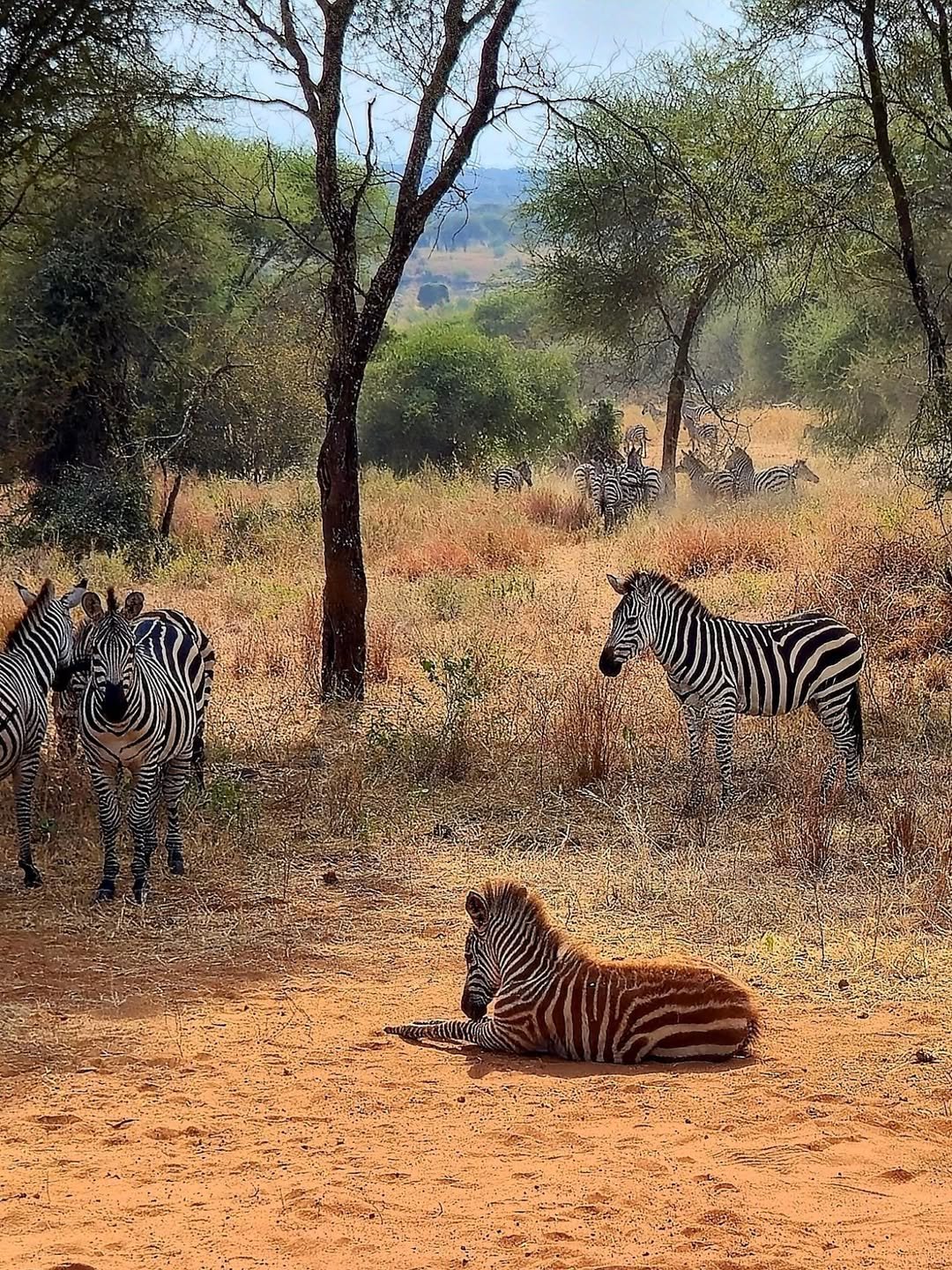 Active Explorer Safari – Canoeing in Arusha, Trekking in Ngorongoro & Serengeti Safari — photo 2