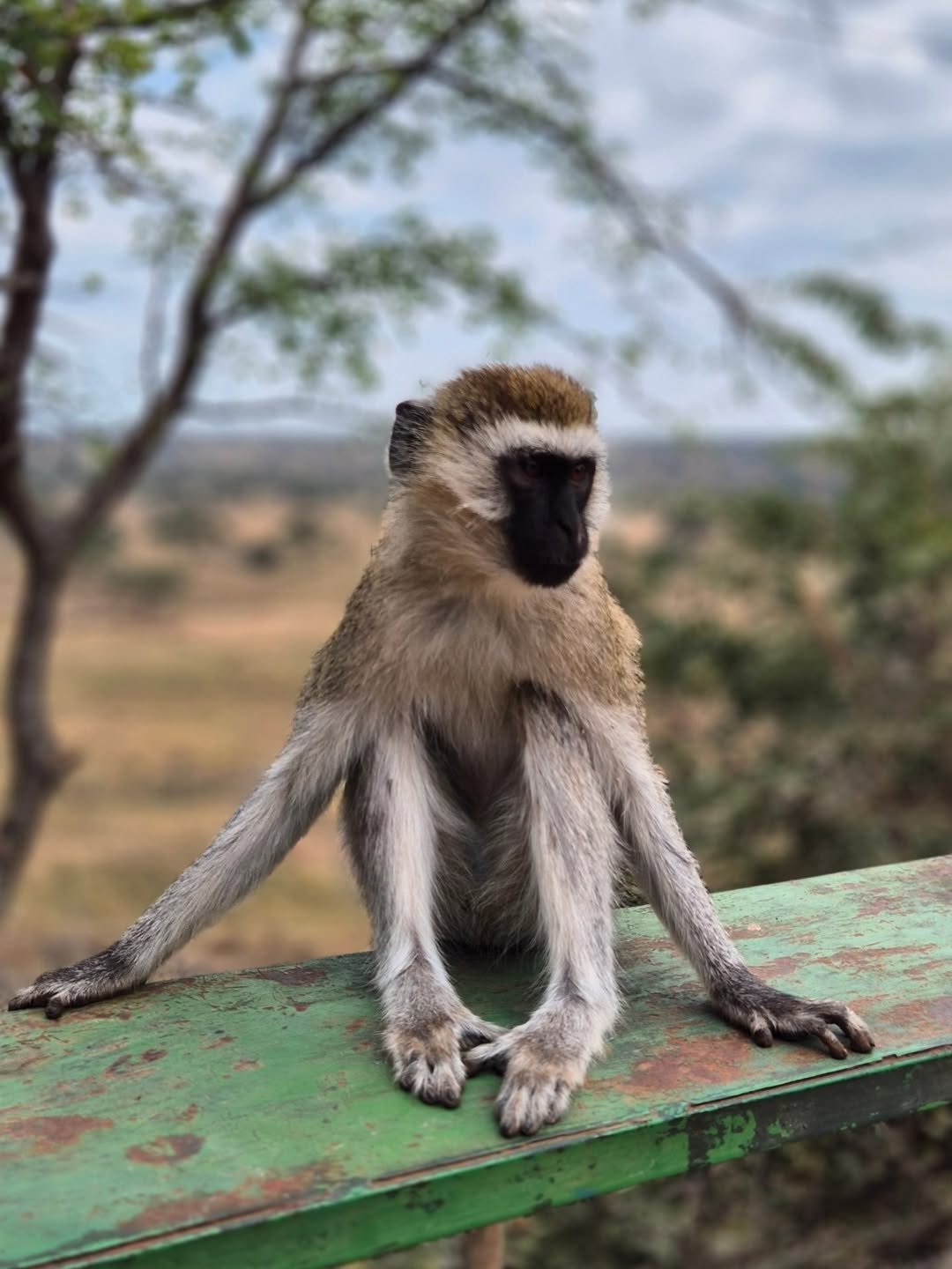 Active Explorer Safari – Canoeing in Arusha, Trekking in Ngorongoro & Serengeti Safari — photo 4