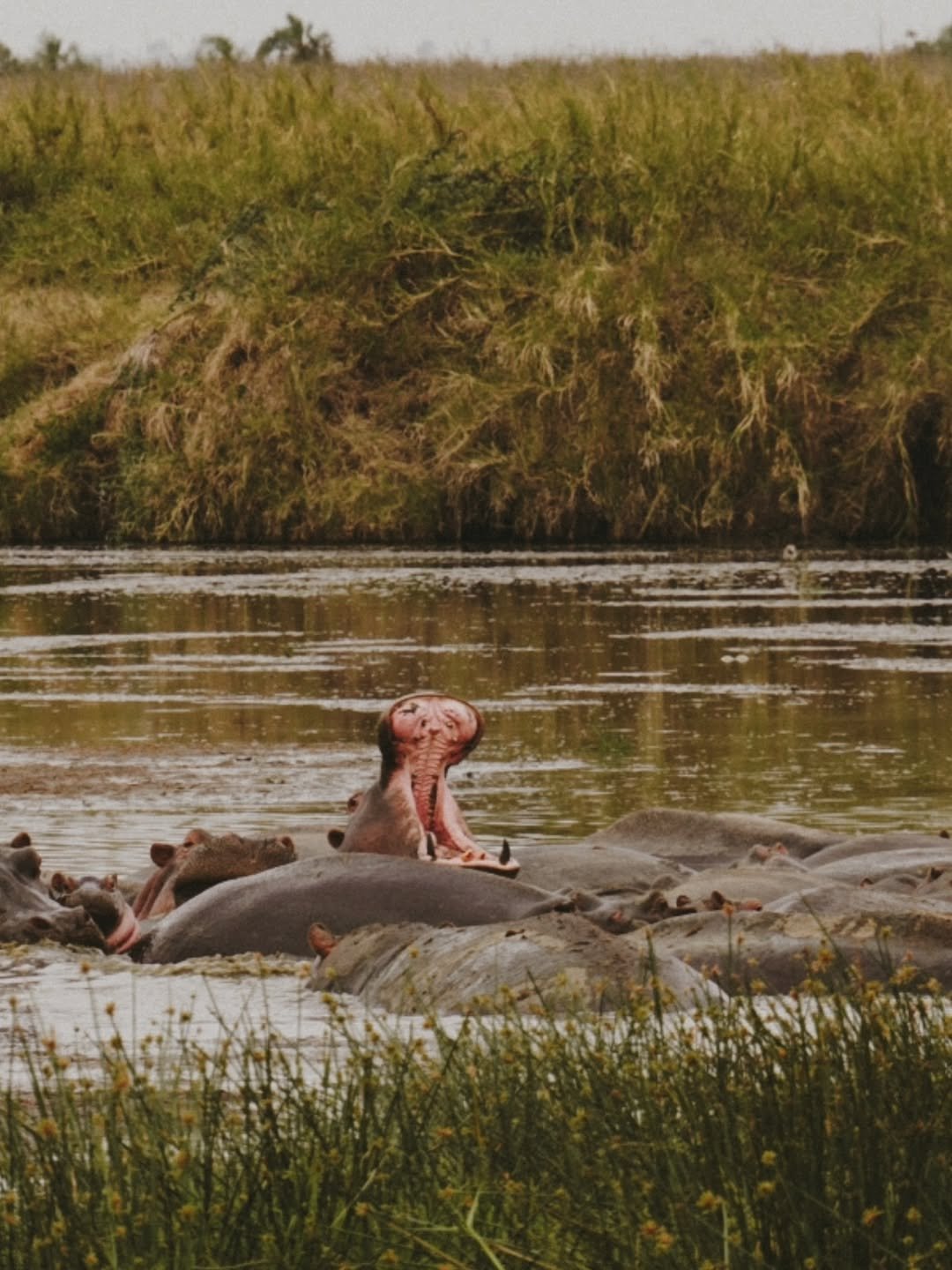 Safari Tour 'Eland': 7-Day Complete Northern Tanzania Safari — photo 3