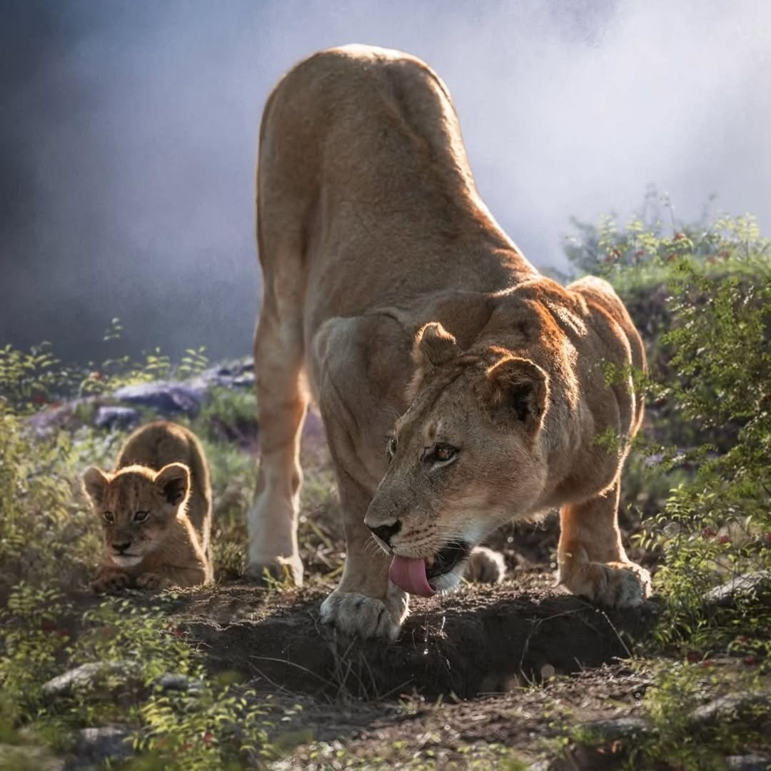 Safari Tour 'Grants': 7-Day Tarangire, Lake Natron & Ngorongoro Crater — photo 2