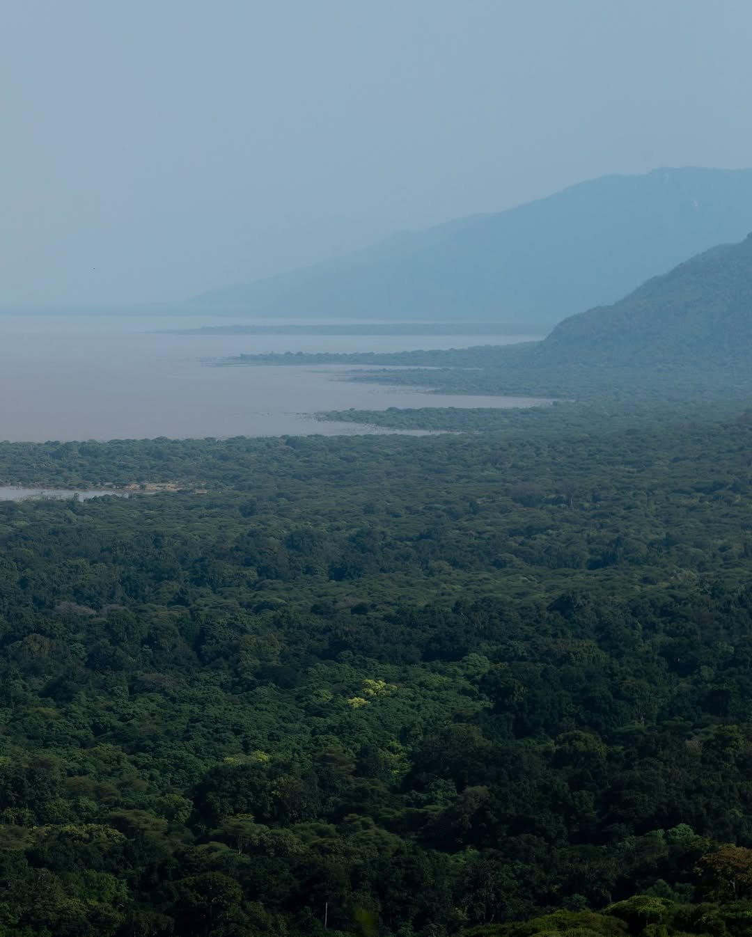 Safari Tour 'Klipspringer': 2-Day Lake Manyara & Ngorongoro Crater — photo 4