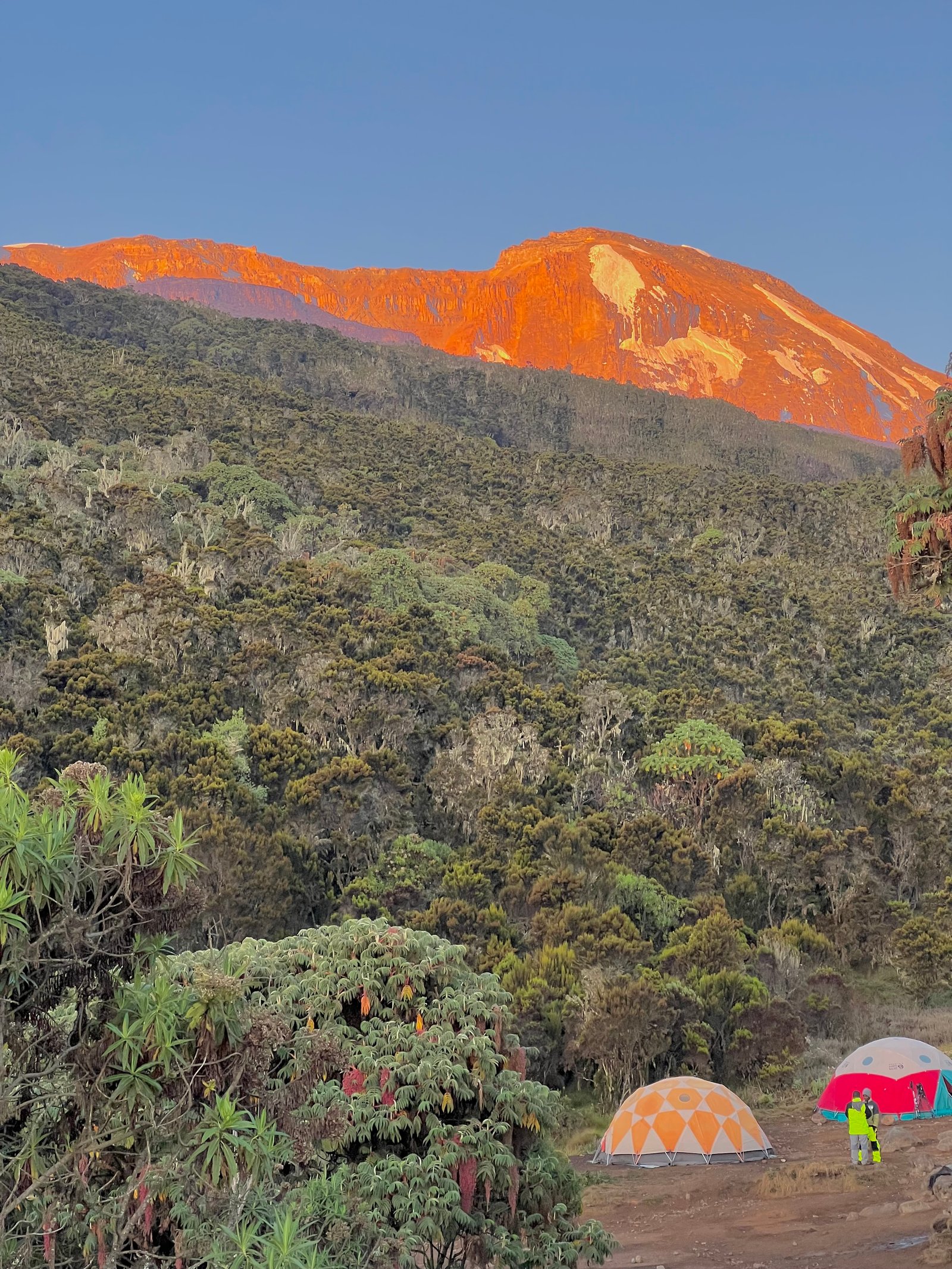 Machame Route — photo 3