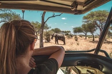Private Serengeti Romantic Safari (Fly-in/Fly-out)
