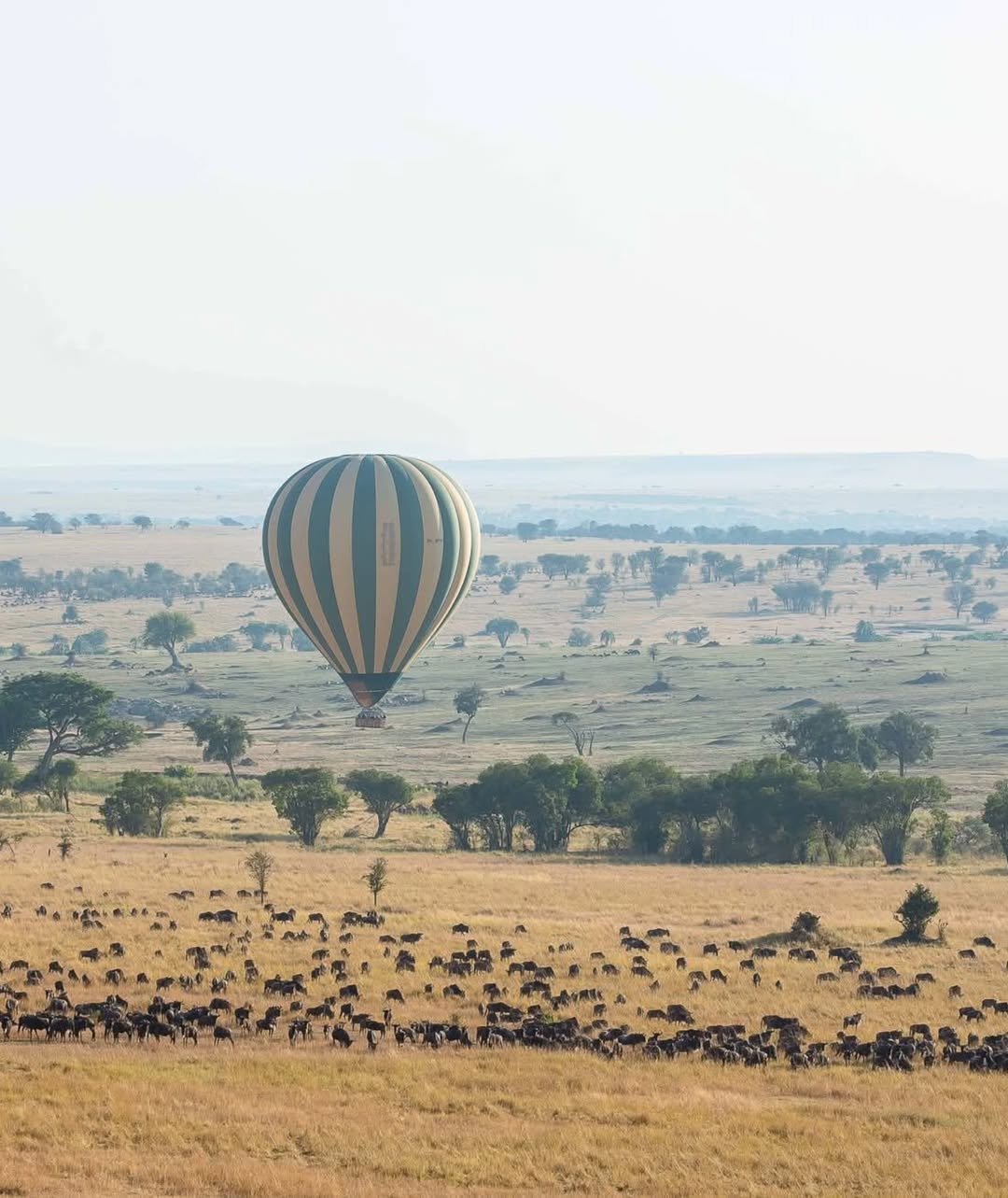 Game-drive & Bush Walk in Tarangire and Ngorongoro — photo 4