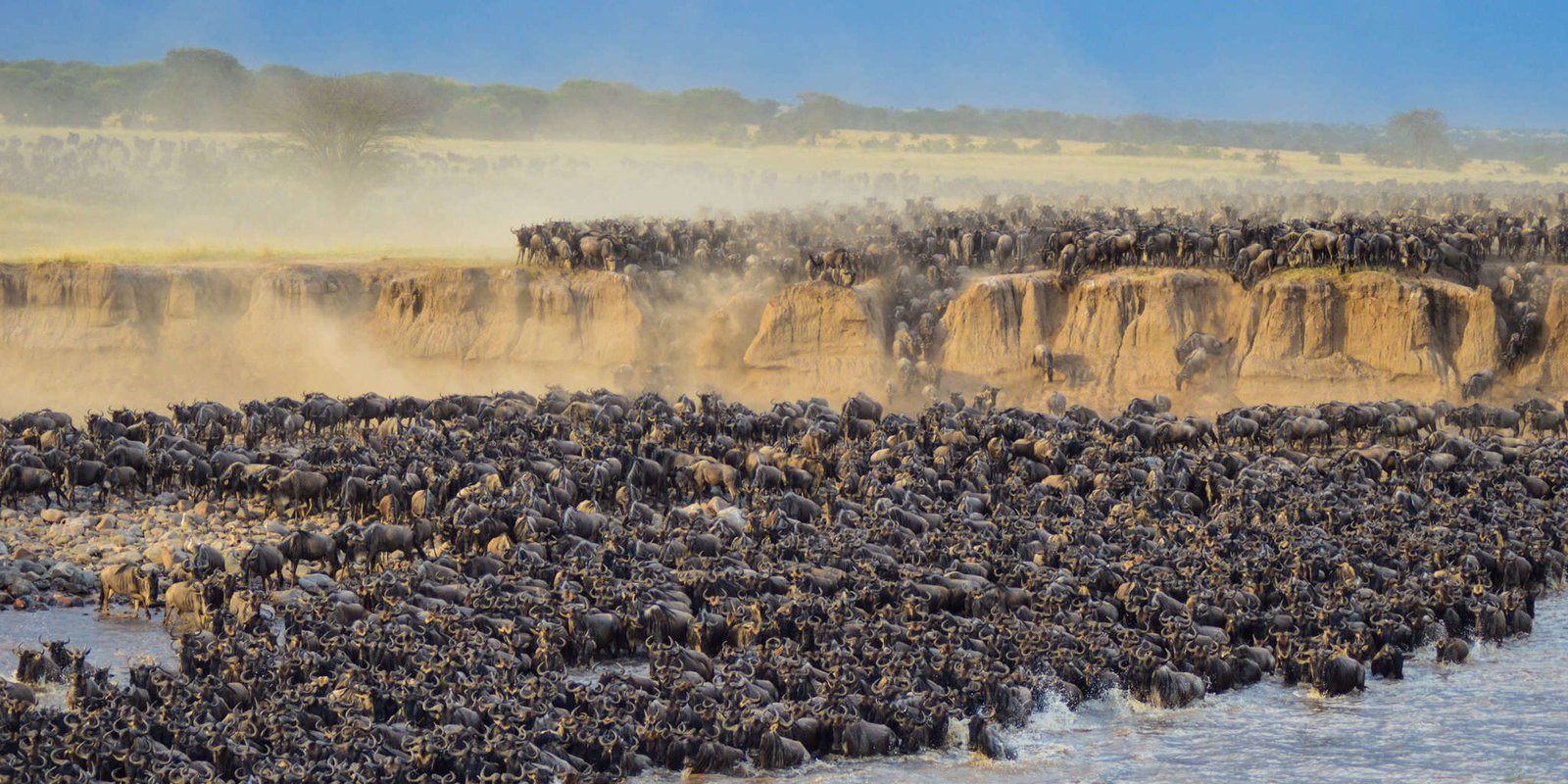 Witness the Great Migration in Northern Serengeti — photo 4